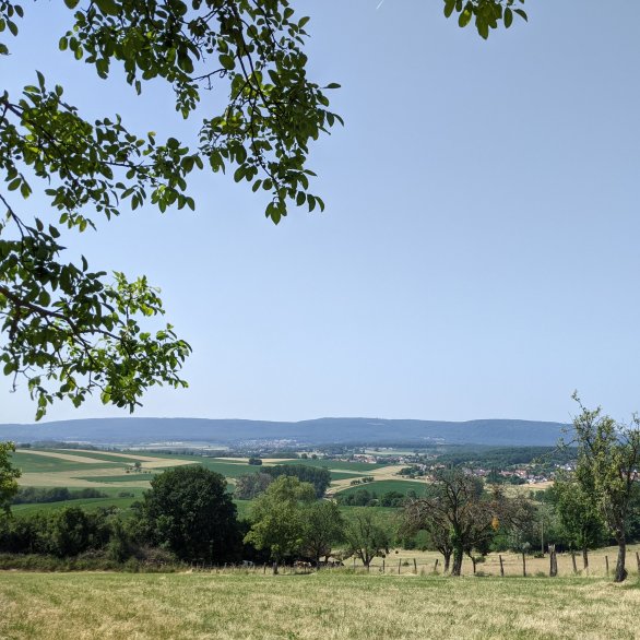 Les Vosges du Nord et le piémont