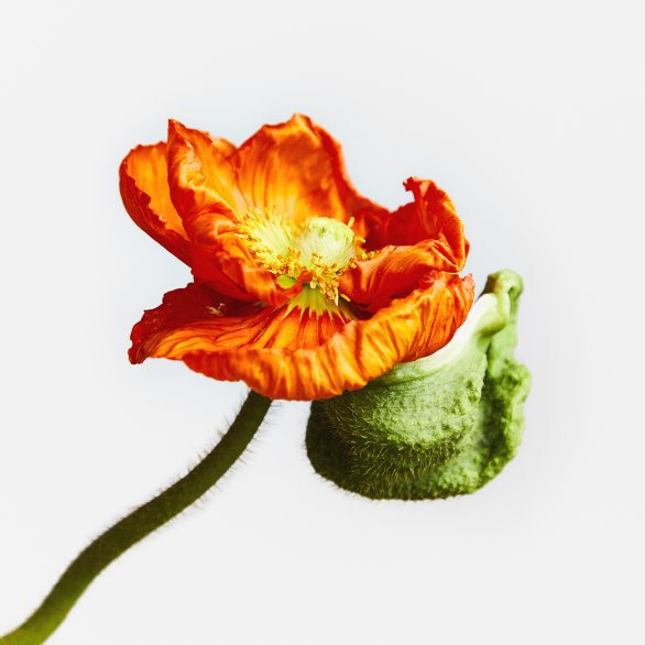 Foto von Marijke Aerden