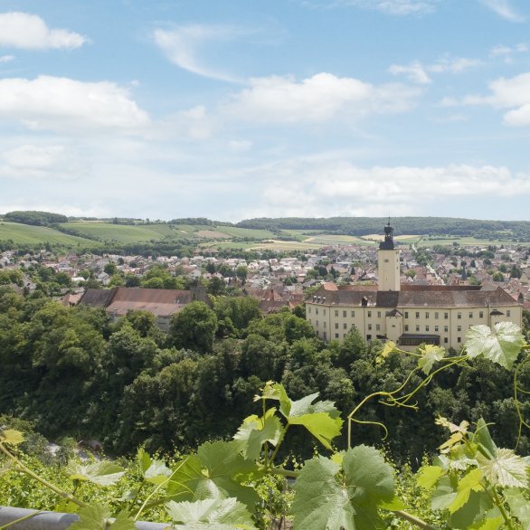 Blick auf Schloss Horneck